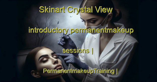 Skinart Crystal View introductory permanentmakeup sessions | PermanentmakeupTraining | PermanentmakeupClasses | SkinartTraining-United States